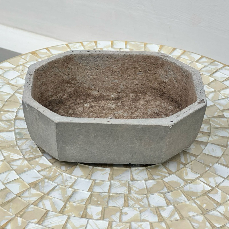 Pot Bonsai Semen Mini Garden Sega Segi