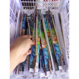 TANGKRINGAN UKIR BURUNG KONIN SOGON PLECI KAYU JATI SAMBUNG SANGKAR BESI KAPSUL KANDANG LOVEBIRD