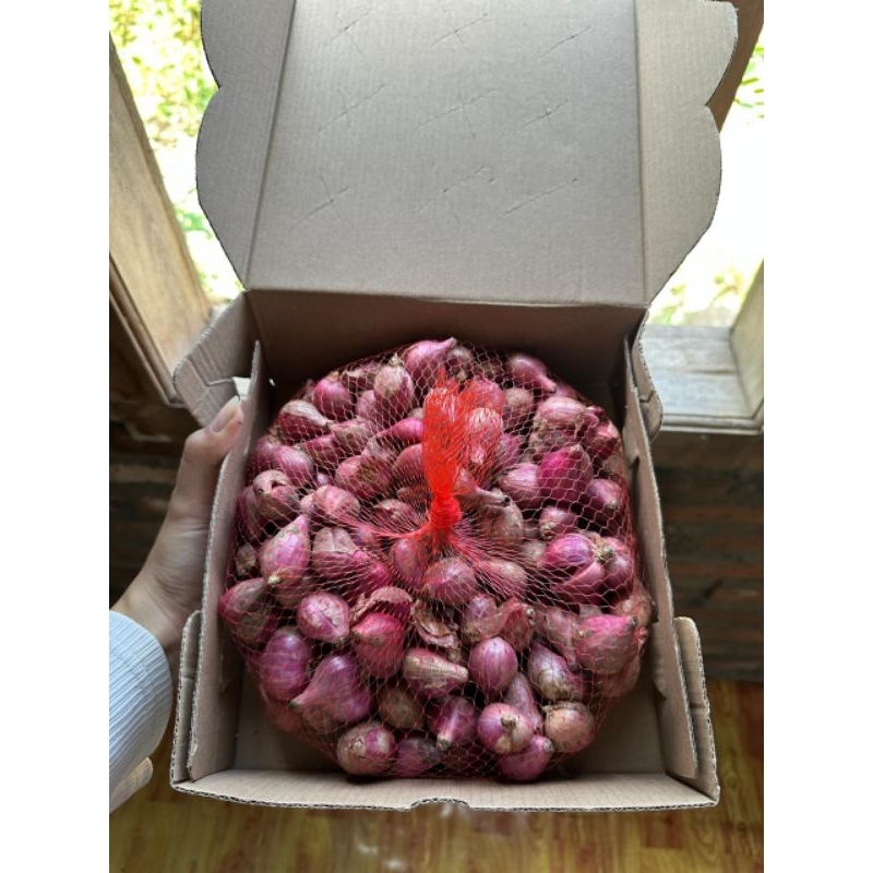 

{BERGARANSI} Bawang Merah size SUPER Premium Asli Petani nganjuk, terkenal dengan aroma dan Rasanya yang Kuat