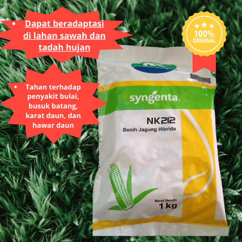 Benih Jagung Hibrida NK212 Syngenta