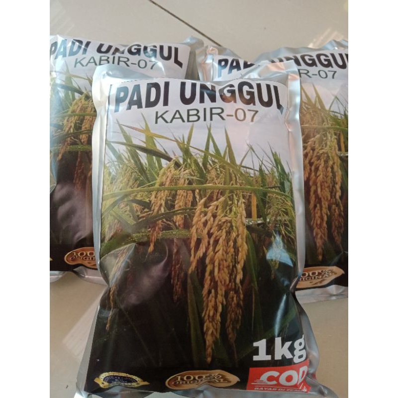 Benih padi KABIR 07 original kemasan 1Kg