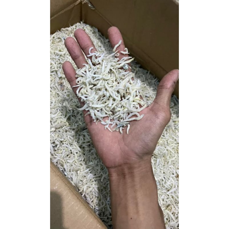 

Ikan Asin Teri Medan Termurah 250 gram