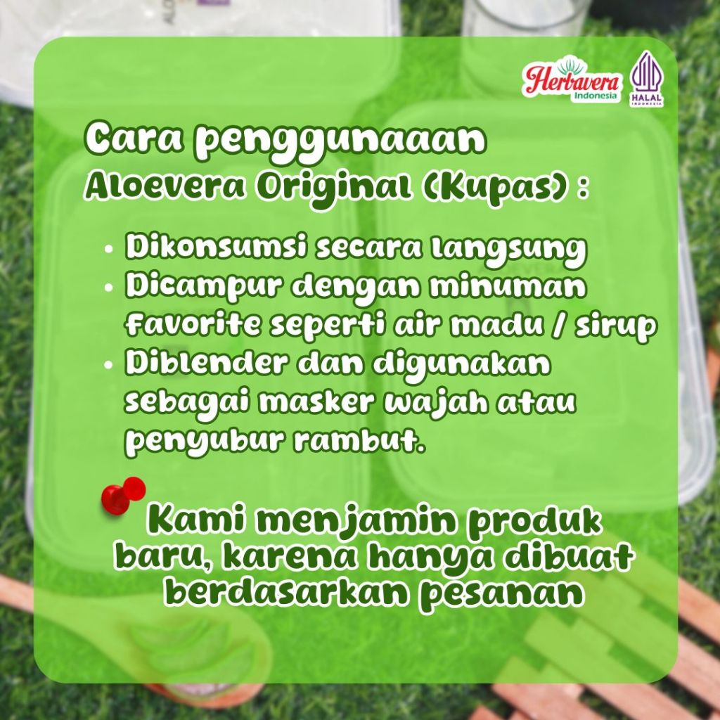 

Ygshop17 Aloe Vera Kupas / Aloevera Kupas / Lidah Buaya Kupas 500 Gram