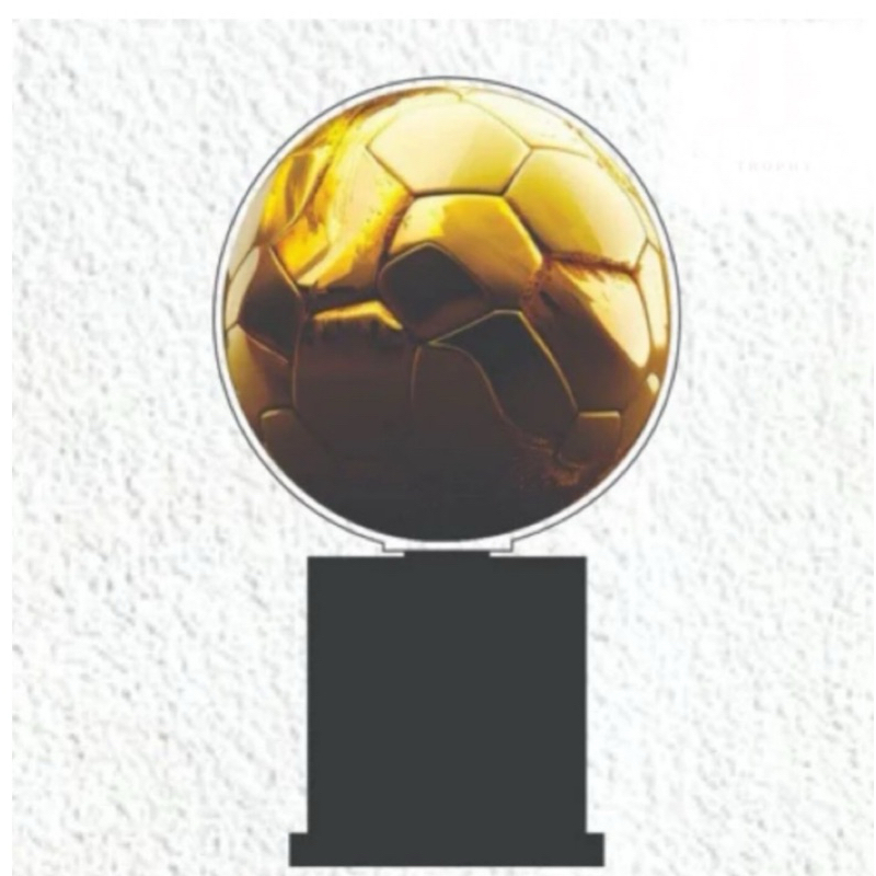 Piala Best Player Piala Futsal Piala Pemain Terbaik Piala Sepakbola Akrilik Custom