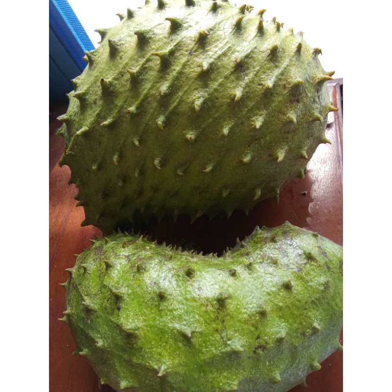 

Fresh Buah Sirsak / Sirsat 1kg