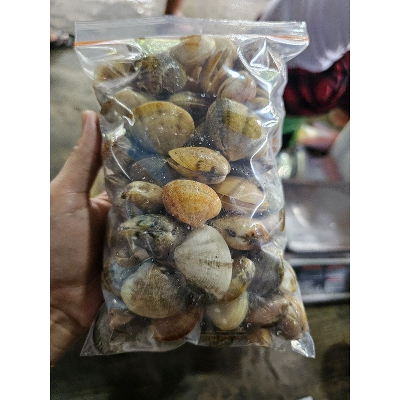 

KERANG CEMPRENG/MADU REBUS 800GRAM
