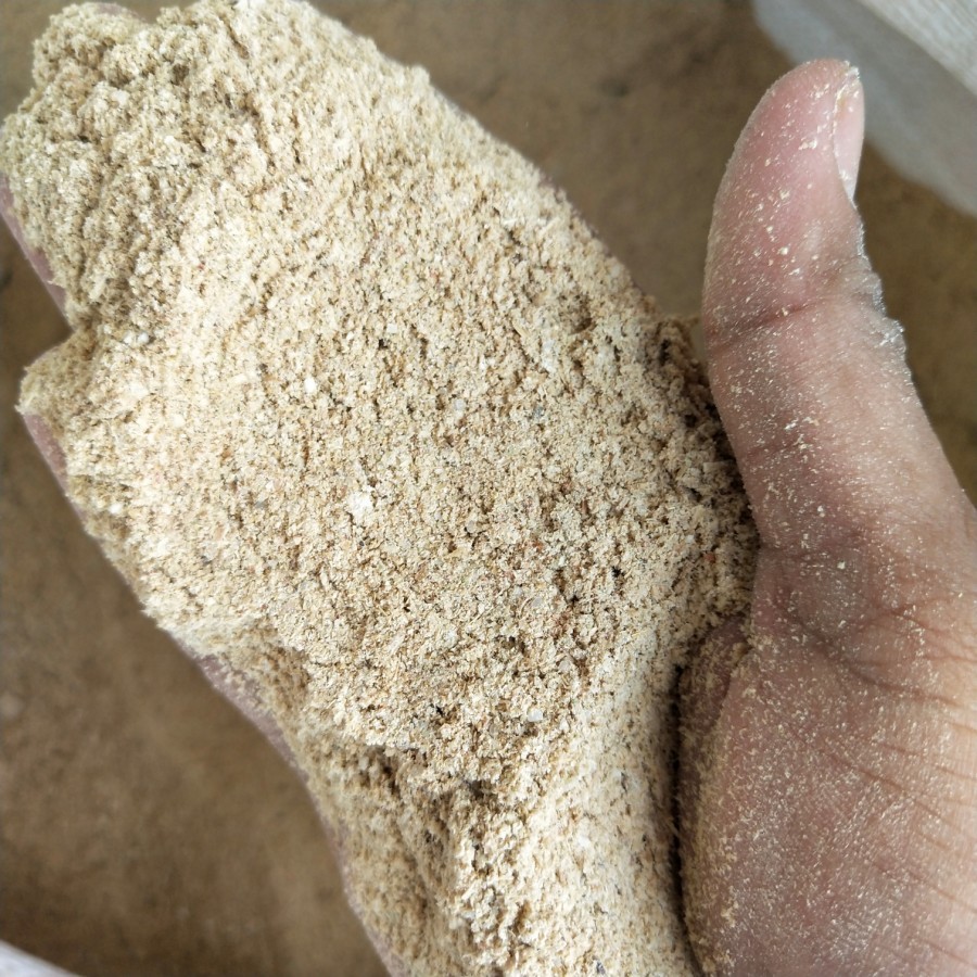 dedak menir pakan ayam pakan bebek