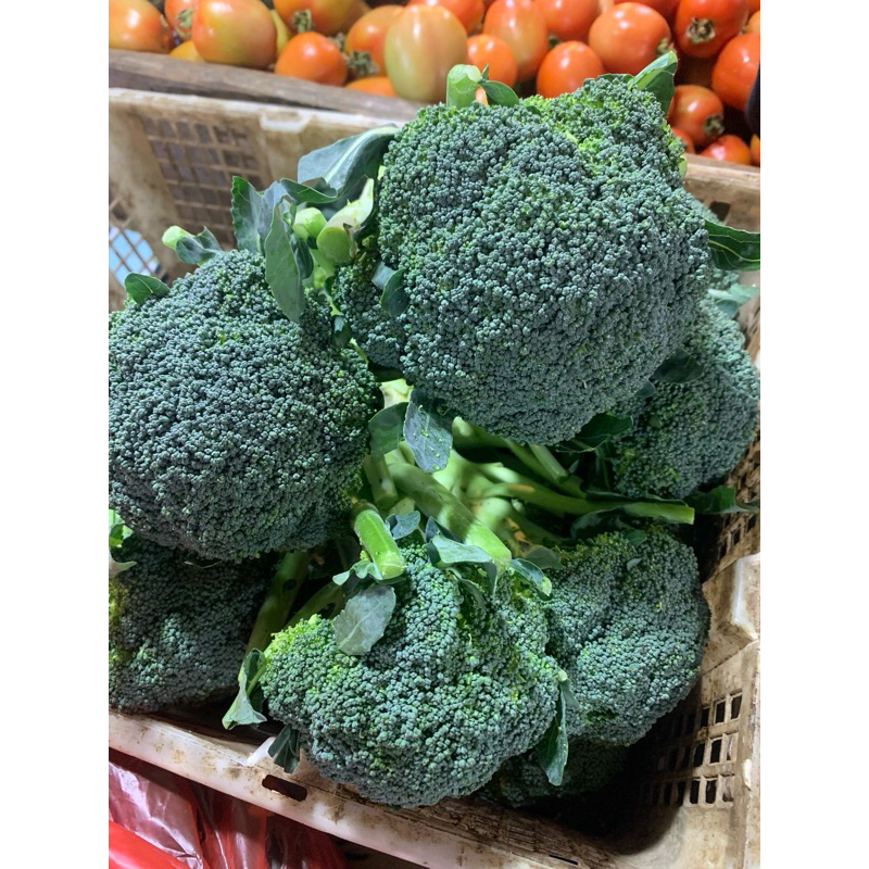 

Brokoli Hijau Lokal - 500gram