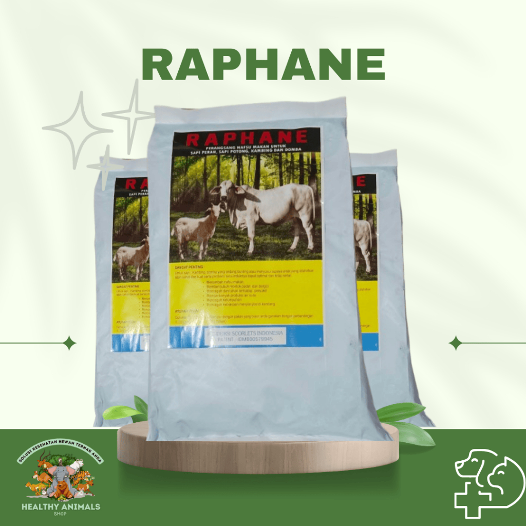 RAPHANE PERANGSANG NAFSU MAKAN - Raphane Perangsang Nafsu Makan Untuk Sapi Perah, Sapi Potong, Kambi
