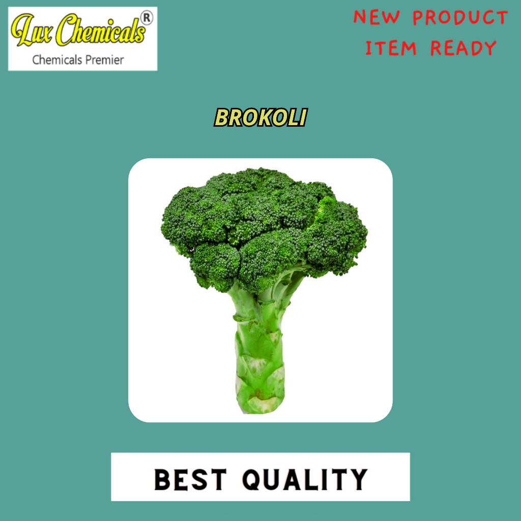 

BROKOLI BEST SELLER 500 GRAM DAN 1000 GRAM