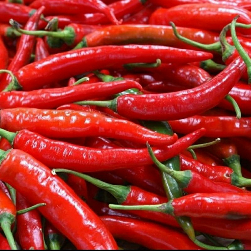 

cabe gepeng Fresh