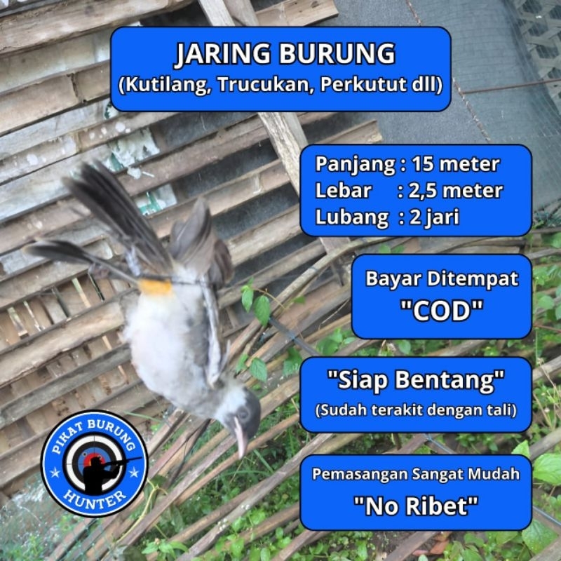 JARING BURUNG TILANG JARING BURUNG KUTILANG JALA PIKAT KUTILANG JALA PUKAT KUTILANG JARING JALA TILA