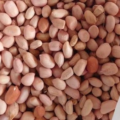 

Kacang Tanah Super Premium Kemasan 1kg