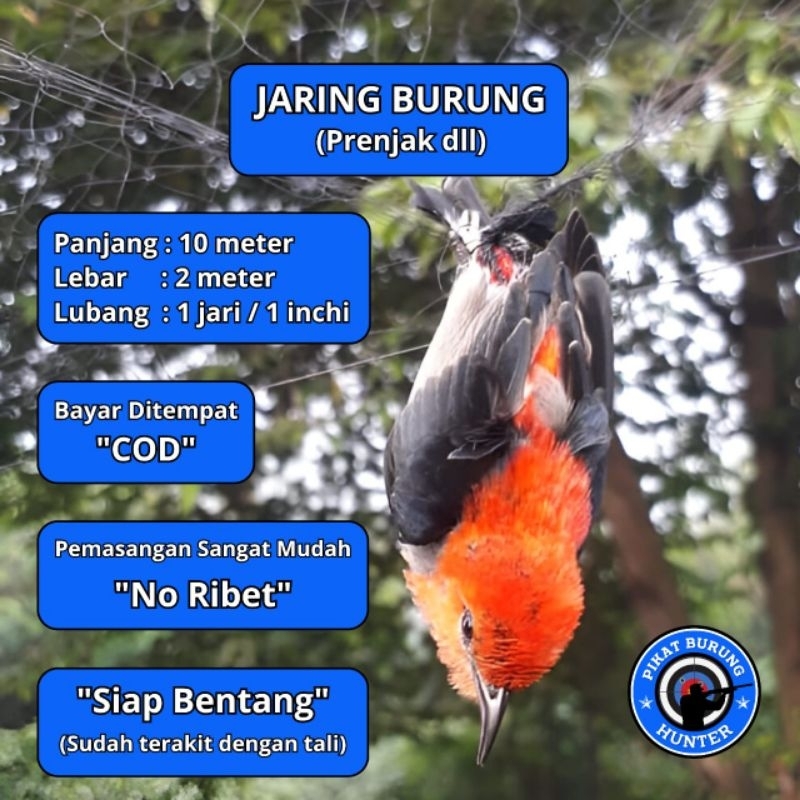 JARING BURUNG CABEAN JARING BURUNG EMPRIT HAJI JARING BURUNG KECIL JARING BURUNG SAWAH JARING BURUNG