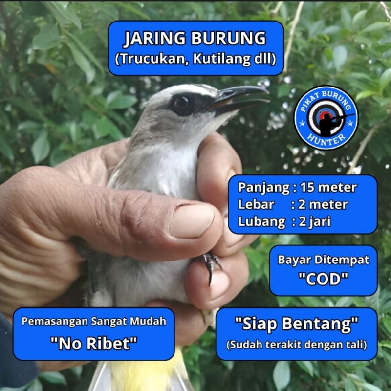 JARING JERAT BURUNG TRUCUKAN JARINGAN BURUNG SIAP PAKE JARING BURUNG TRUCUKAN JALA PIKAT BURUNG SIAP