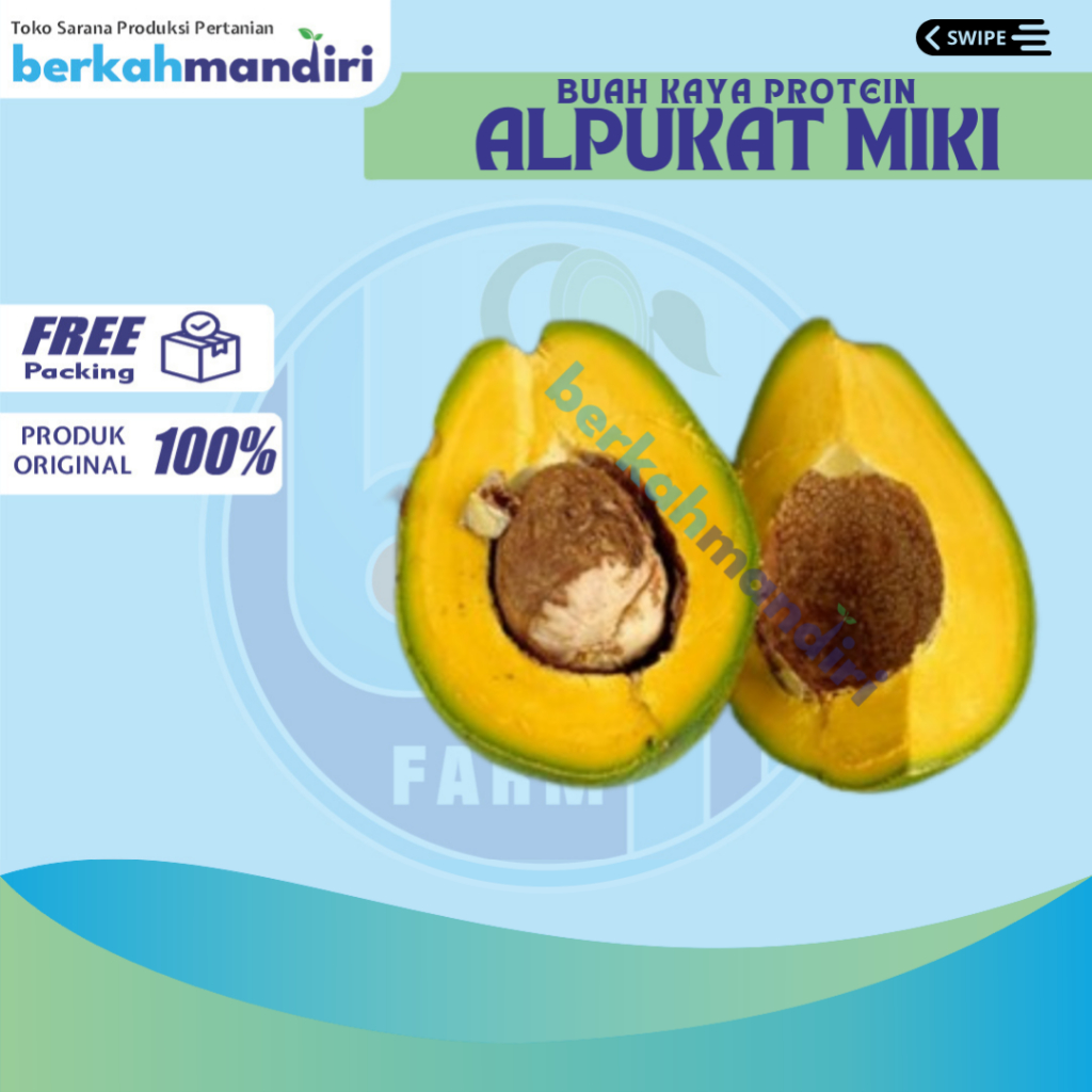 

Alpukat MIKI 1 Kg Alpukat Super