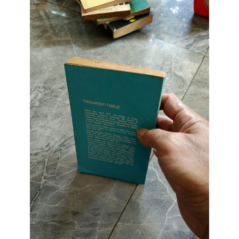 DI KAKI LANGIT GURUN SINAI - HASSANEIN HEIKAL-B1