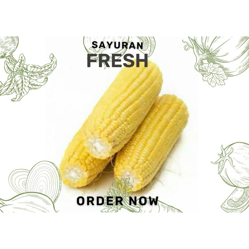 

jagung kuning perbiji