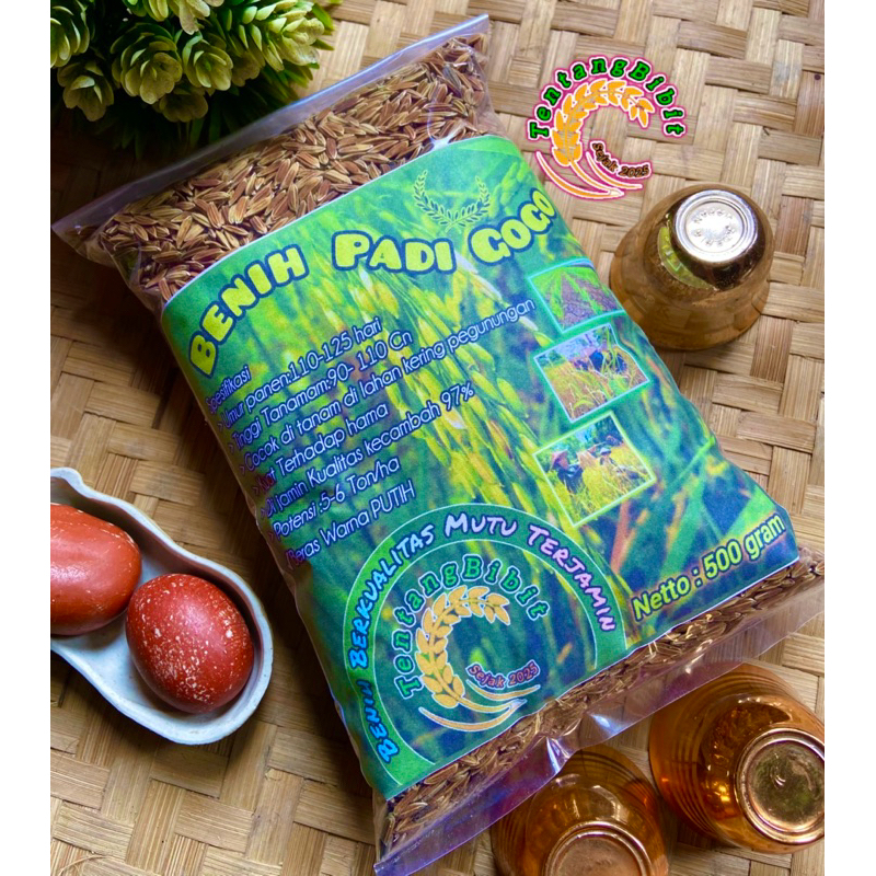 Benih padi gogo / bibit padi huma / bibit padi darat 500 gram