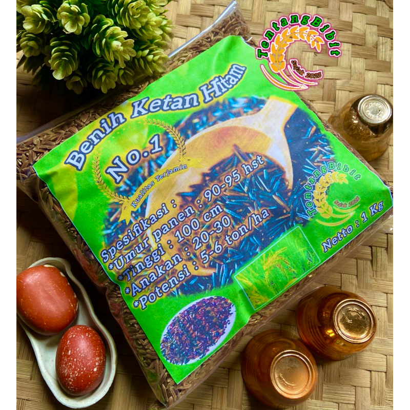 Benih ketan hitam / bibit padi ketan hitam 1 kg