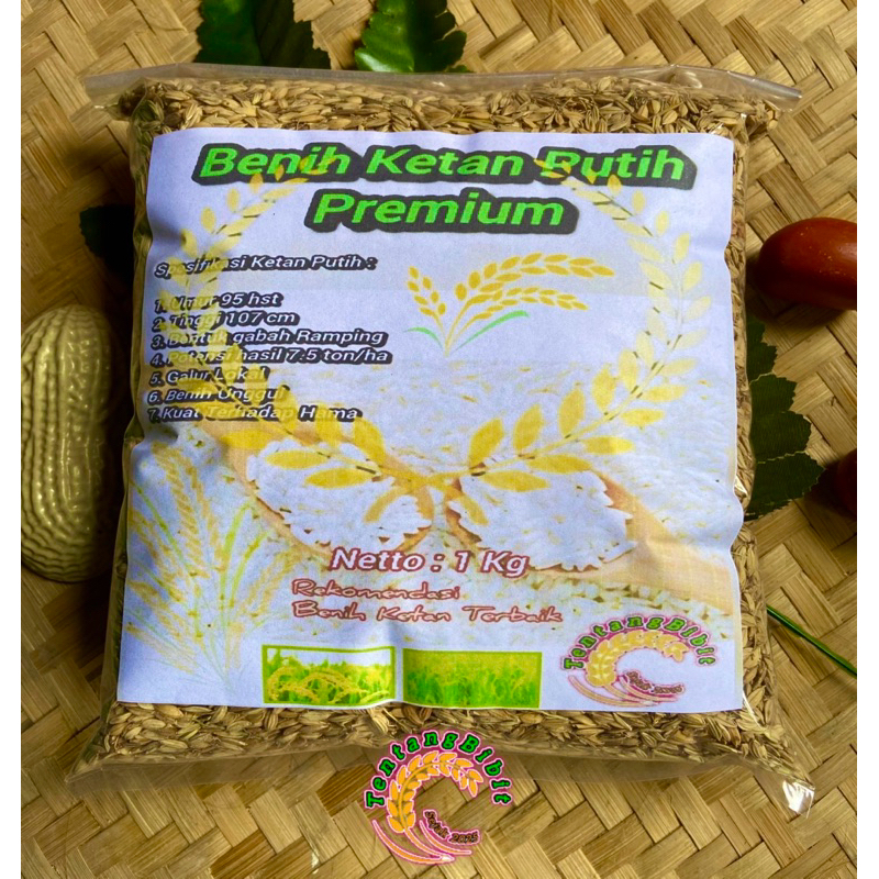 Benih ketan putih / bibit padi ketan putih impor 1 kg