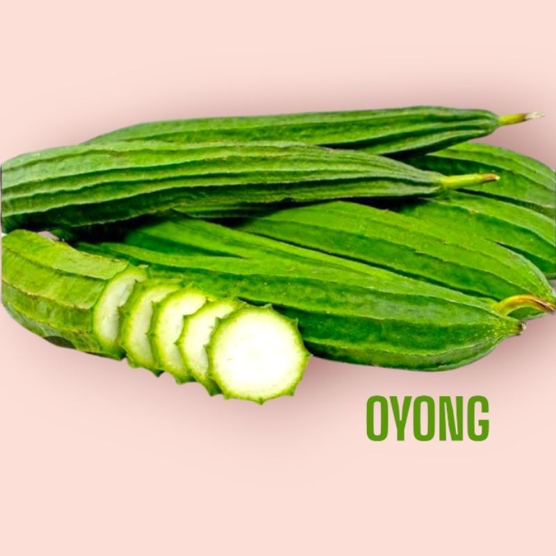 

SAYURAN OYONG 500 GRAM