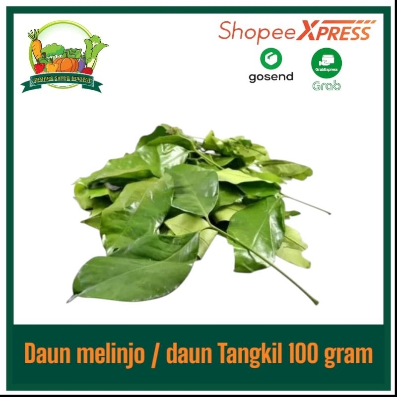 

Daun melinjo segar 100 gram / daun tangkil - KIRIM INSTAN