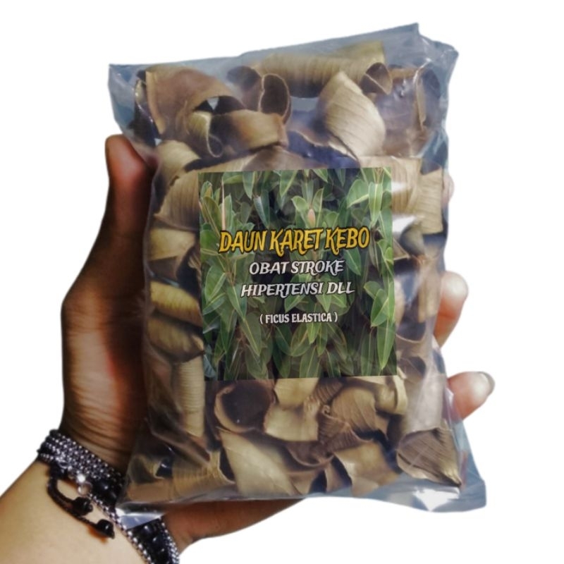 

Daun Karet Kebo Kering 10 Gram (Ekstrak Ficus Elastica) Herbal