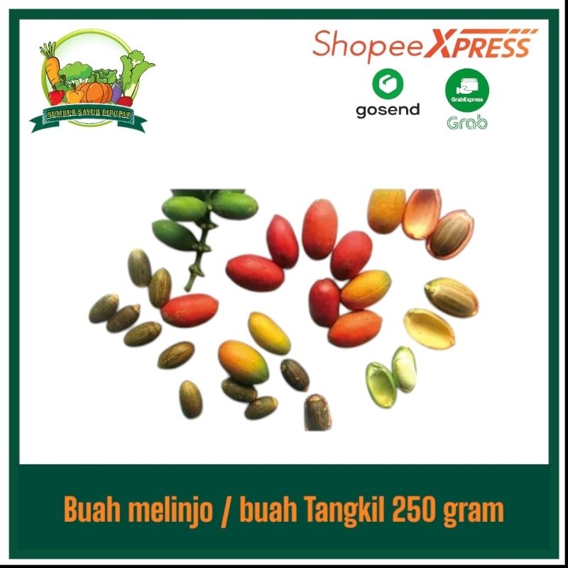 

Buah melinjo segar 250 gram / buah tangkil - KIRIM INSTAN