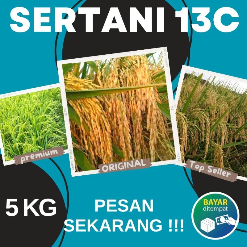 BENIH PADI PREMIUM SERTANI 13C Kemasan 5KG