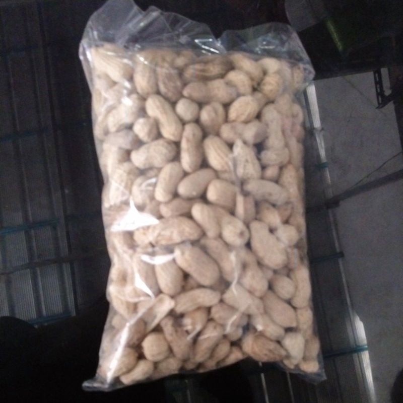 

Kacang kulit