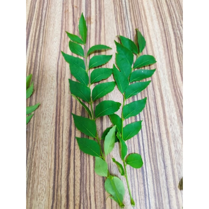 

Daun Kari