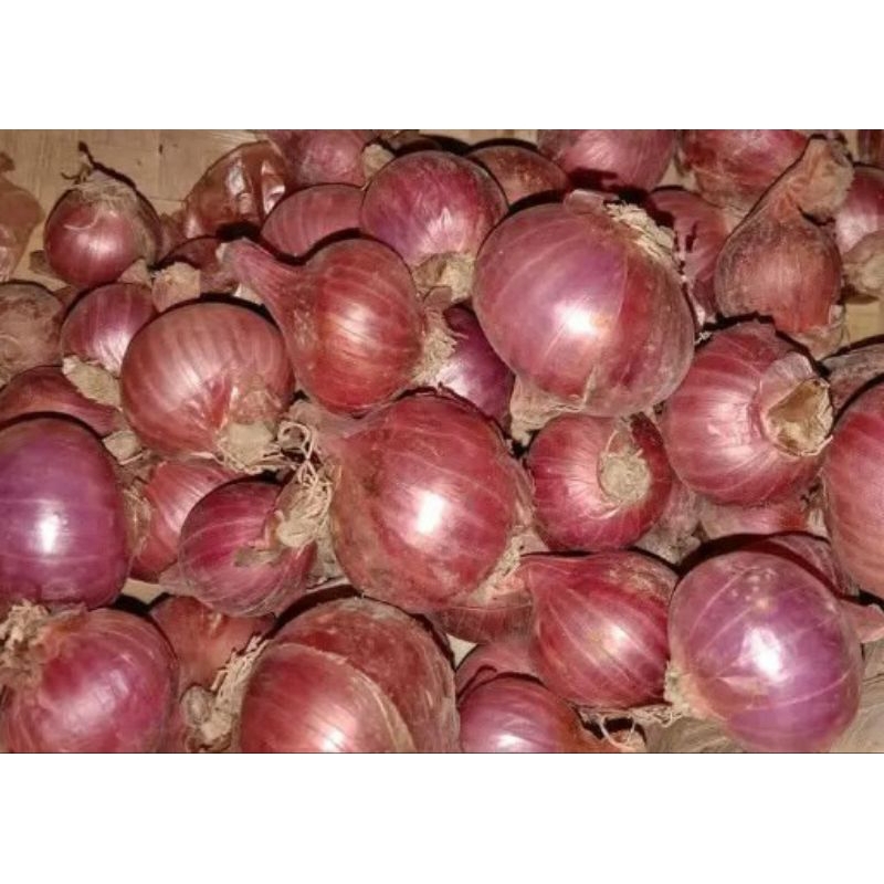 

Bawang Merah Demak ( Tanggung )