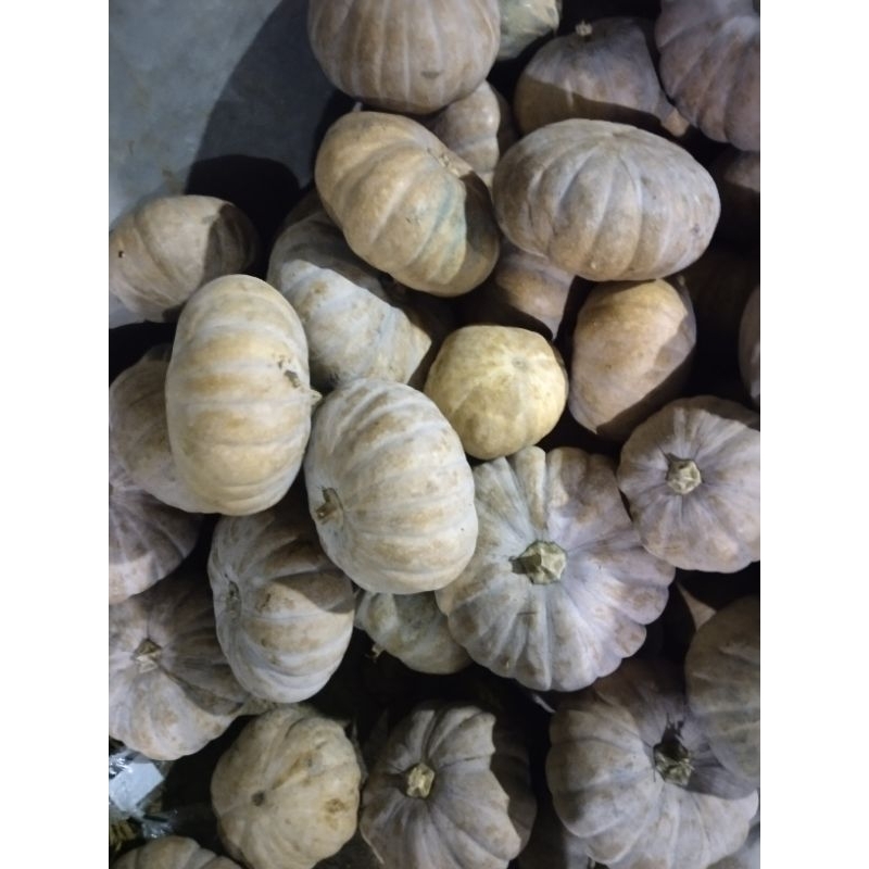 

sayuran dan hasil kebun