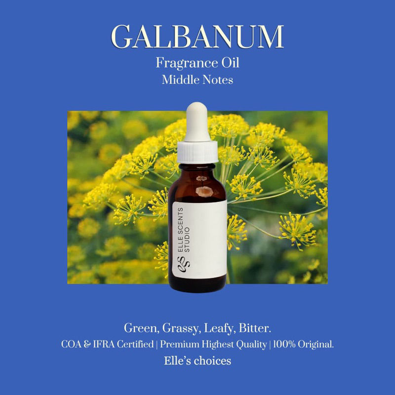 GALBANUM Fragrance Oil