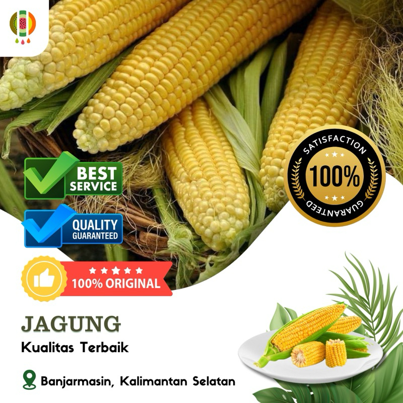 

Jagung Lokal