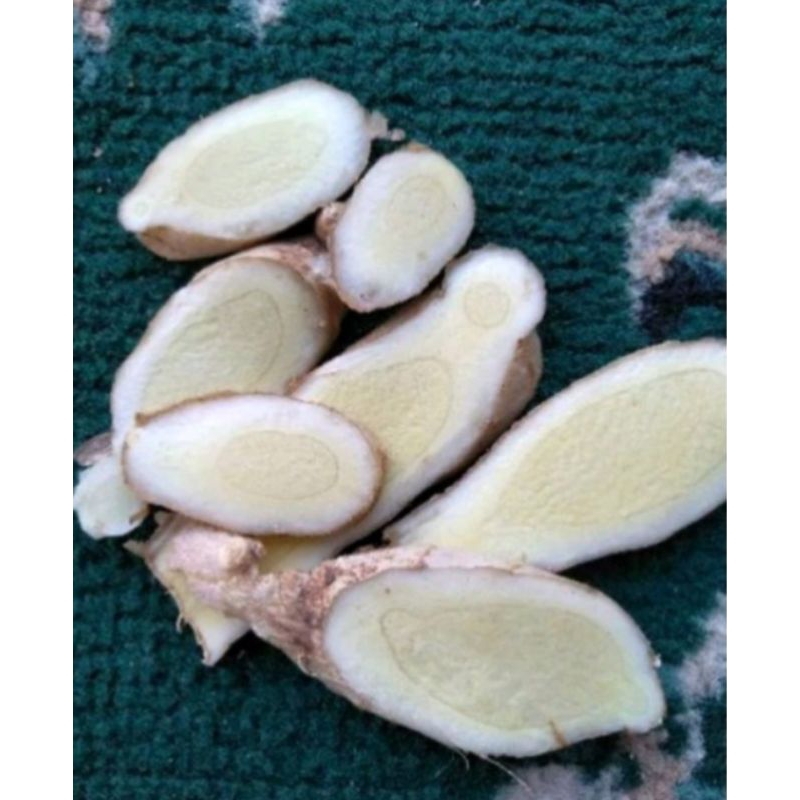 

KUNYIT PUTIH/TEMU PUTIH OBAT TRADISONAL ALAMI 1000g