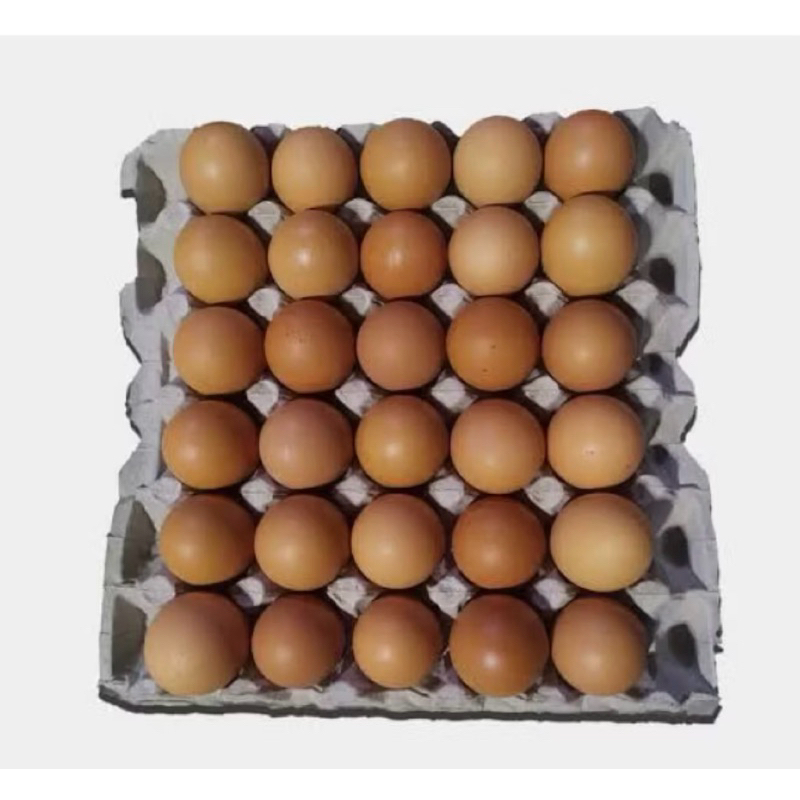 

telur ayam negeri 250gram