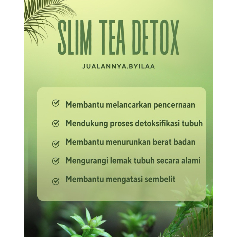 

SLIMTEA DETOX