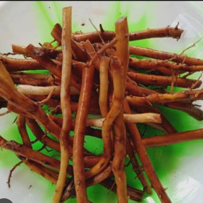 

Akar pohon aren segar paket 250 gram