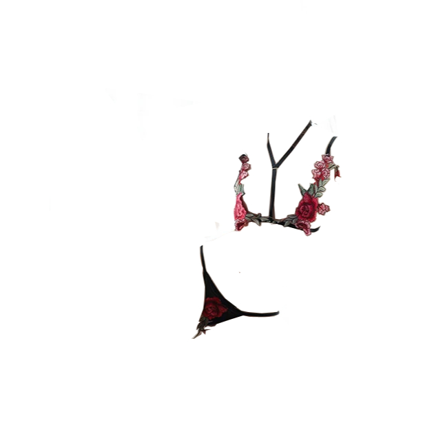 SEXY LINGERIE BIKINI SEXY HOT EROTIC SEKSI CANTIK BERGAIRAH