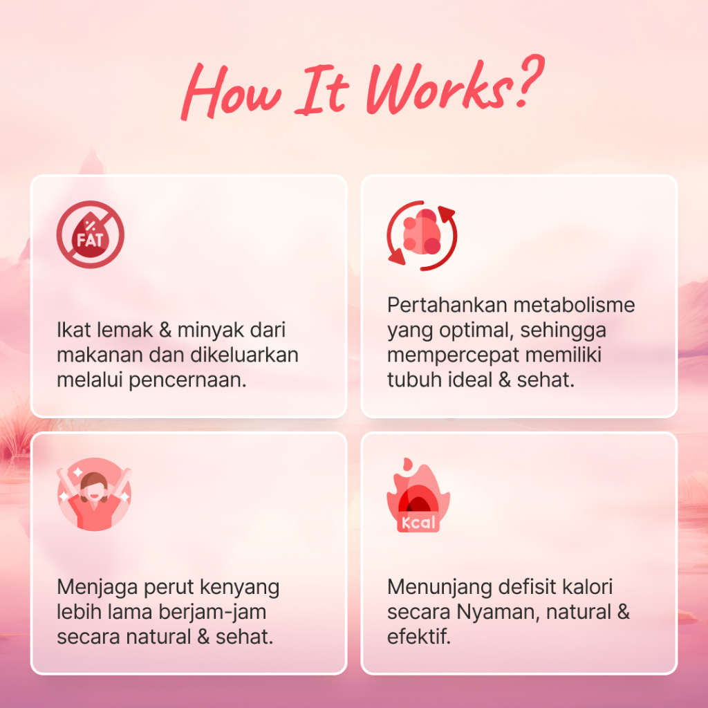 

SPENCER'S MEALBLEND MULTRAIN 1 BOX 15 SACHET