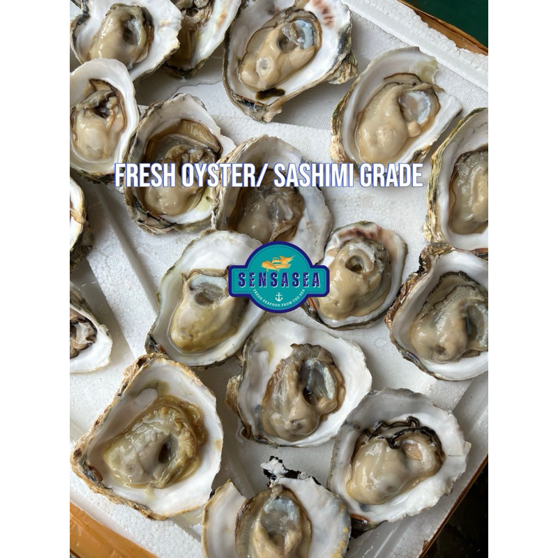 

OYSTER HIDUP / OYSTER FRESH / SASHIMI GRADE SIZE SMALL HARGA PER PCS