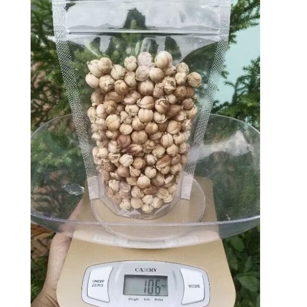 

100 gram Kapulaga Organik non sortir