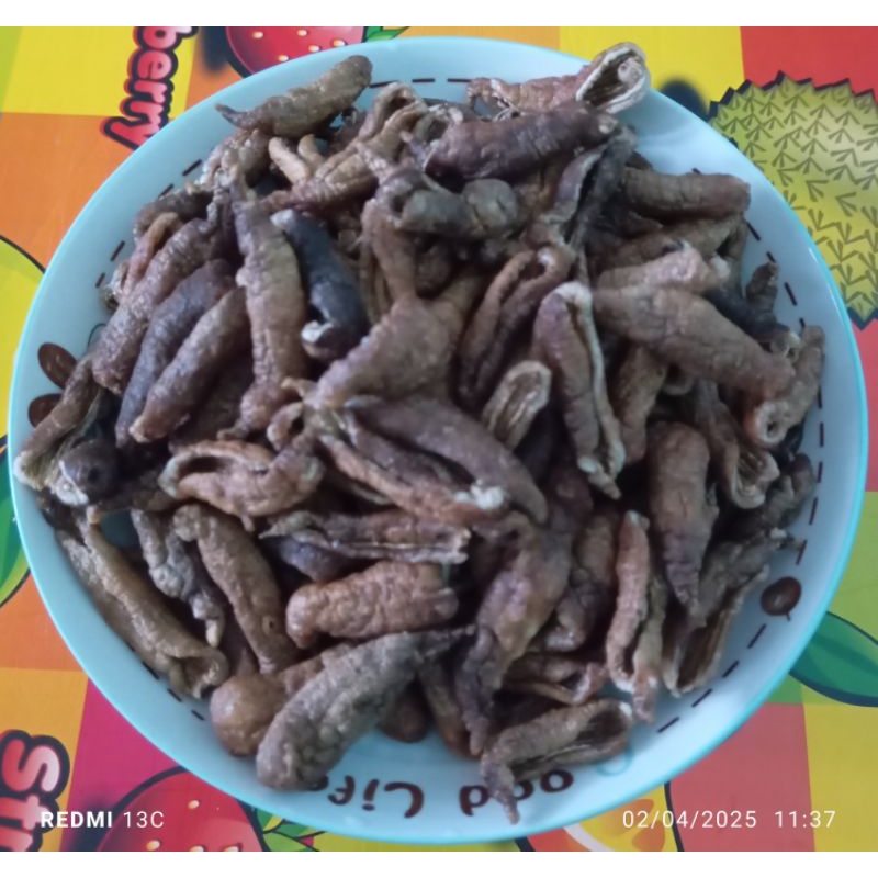 

Krupuk teripang atau bluyo kemasan 250 gram matang