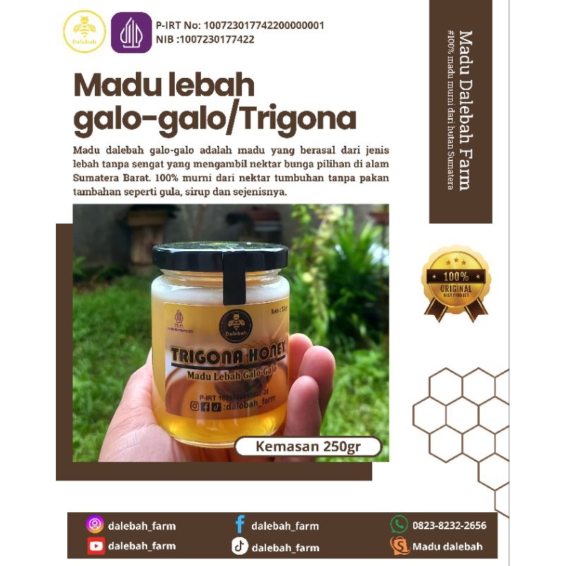 

Dalebah Trigona 250gr