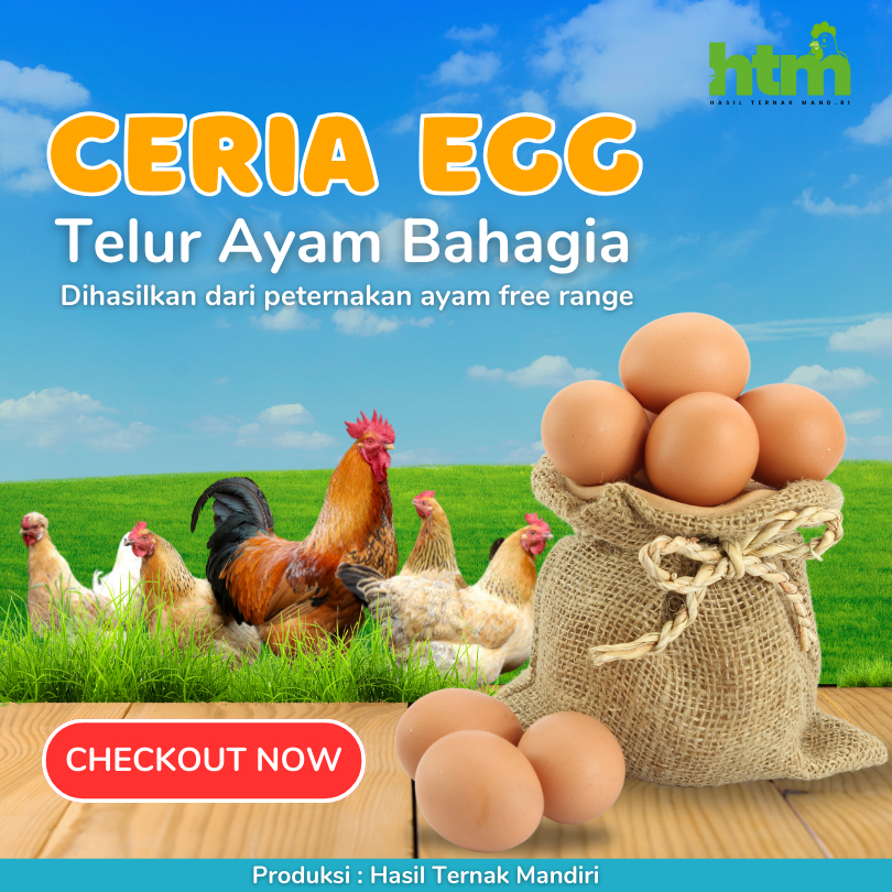

Telur Ayam Bahagia - Ceria Egg 6 Butir