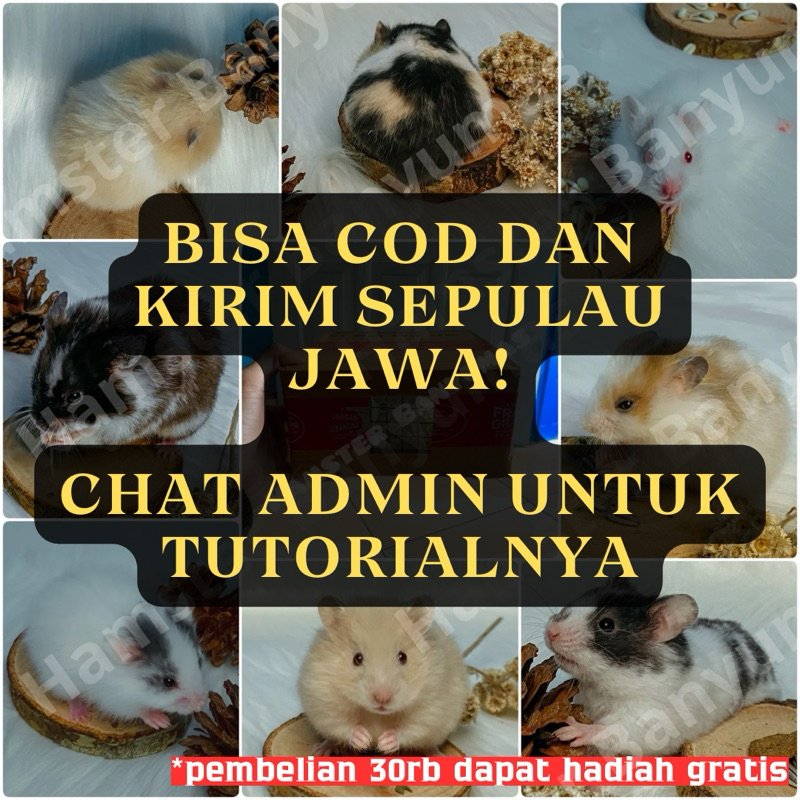 

Packing Kardus Khusus Var¡än (Kirim Sepulau Jawa) Bisa COD