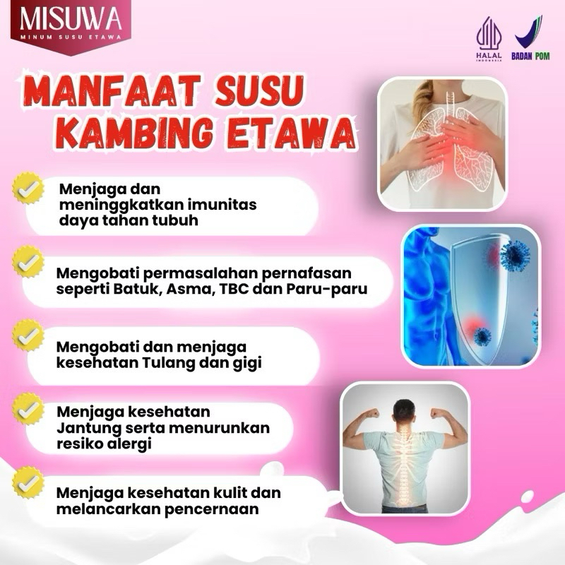 

MISUWA PAKET 6 BOX - Susu Kambing Etawa | Susu Kesehatan untuk Tulang, nyeri Sendi, nyeri otot dan Pernafasan | Susu Sejuta Manfaat | Susu Rasa Cokelat | Susu rasa Stroberi | Susu Original
