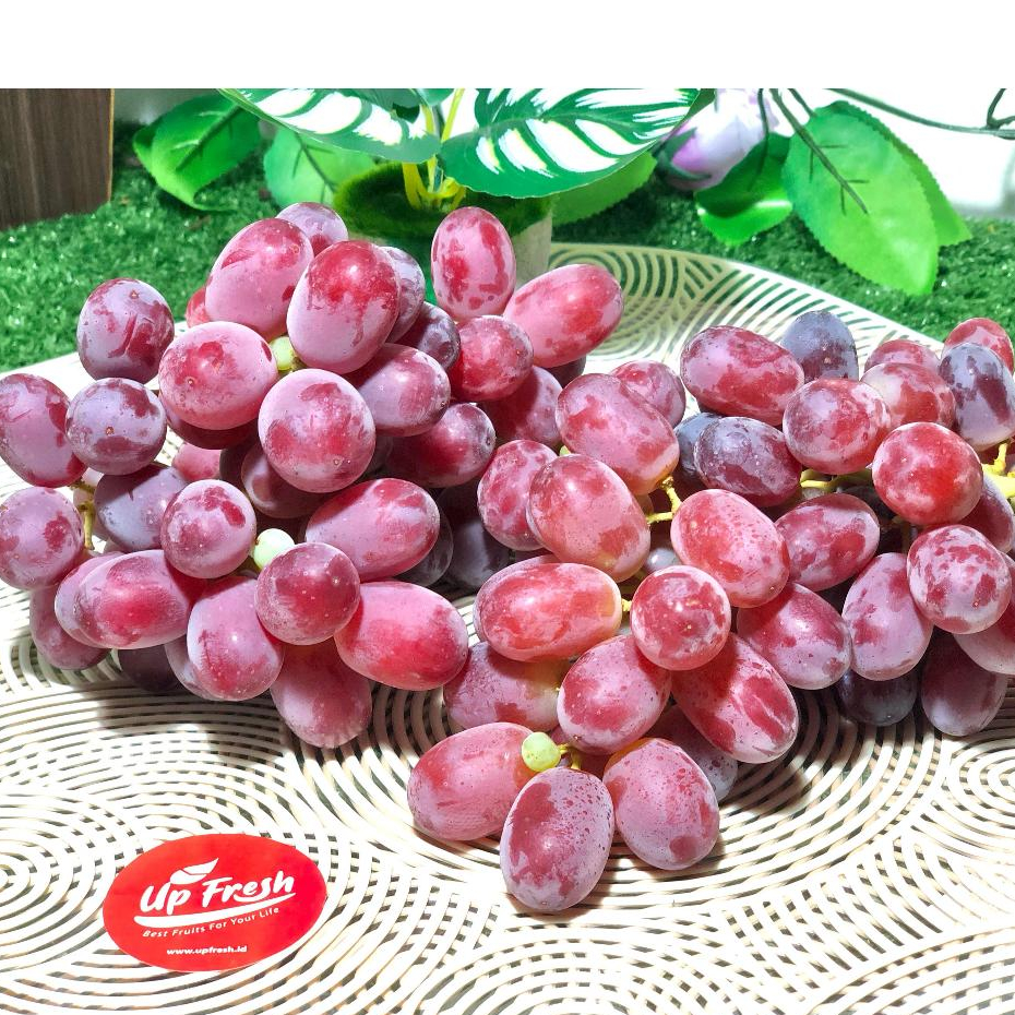 

Anggur Merah Australia - Anggur Merah